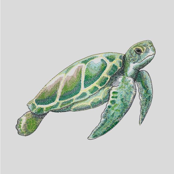 Pormenor do bordado "Tartaruga Marinha".